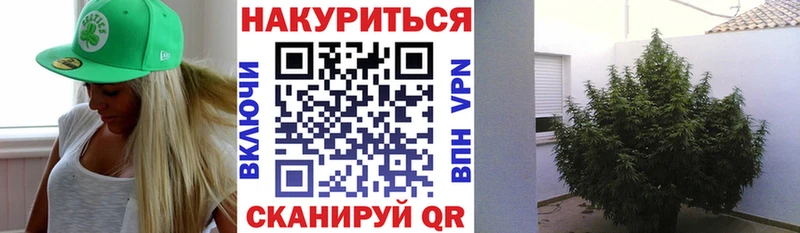 Купить COCAIN Меф A-PVP Канабис Гашиш Злынка