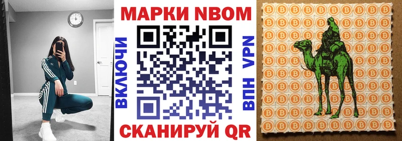 Купить закладки  Злынка  Наркотические марки 1,5мг 
