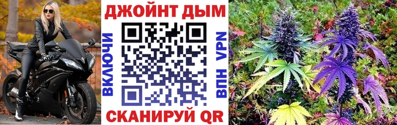 Купить  Злынка  Канабис SATIVA & INDICA 